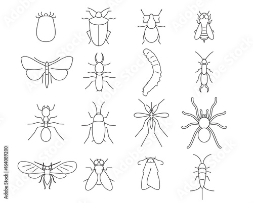 Insects & pest extermination thin line art icons set. Linear style symbols isolated on white.