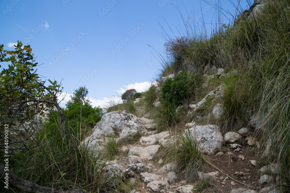 Sentiero sulla sponda sinistra verso i laghetti, Riserva Naturale Orientata Cavagrande del Cassibile, primavera, Sicilia Sentiero sulla sponda sinistra verso i laghetti, Riserva Naturale Orientata Cavagrande del Cassibile, primavera, Sicilia