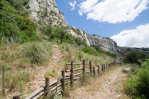 Sentiero sulla sponda sinistra verso i laghetti  Riserva Naturale Orientata Cavagrande del Cassibile  primavera  Sicilia 