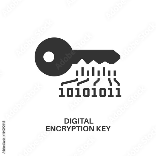Digital encryption key icon