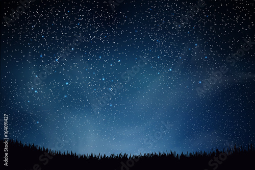 Stars in night sky. Blue dark night sky with many stars above field of grass. Shining Stars and Clouds. Background illustration