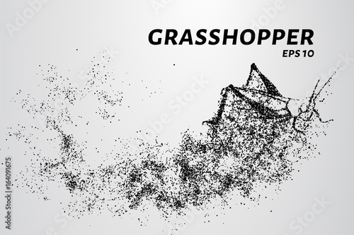 Grasshopper of particles. Silhouette grasshopper is of little circles.