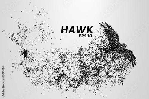 Hawk of the particles. The silhouette of a hawk consists of small circles.