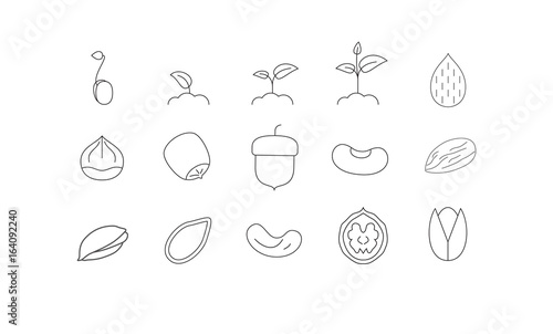 Nuts thin line art icons set. Linear style symbols isolated on white.