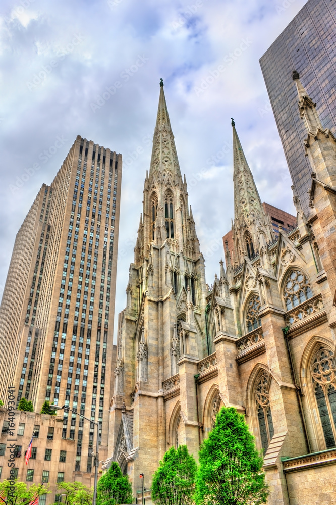 The Cathedral of St. Patrick in Manhattan, New York City