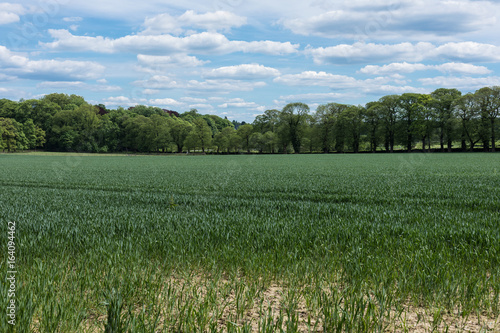 Sommer in Düsseldorf Grafenberg