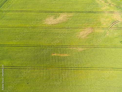 Wallpaper Mural drone image. aerial view of rural area with fields and forests Torontodigital.ca