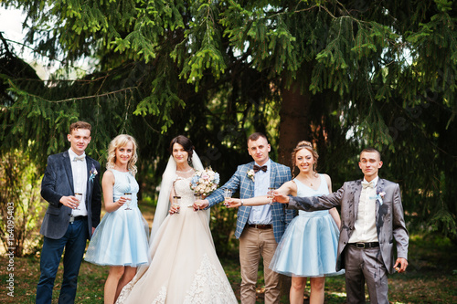 Stunning wedding couple with bridesmaids and groomsmen drinking champagne in the park on a perfect sunny day.