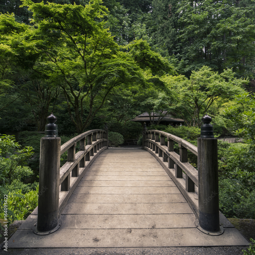 Fototapeta 3D piękny most w leśnym ogrodzie japońskim