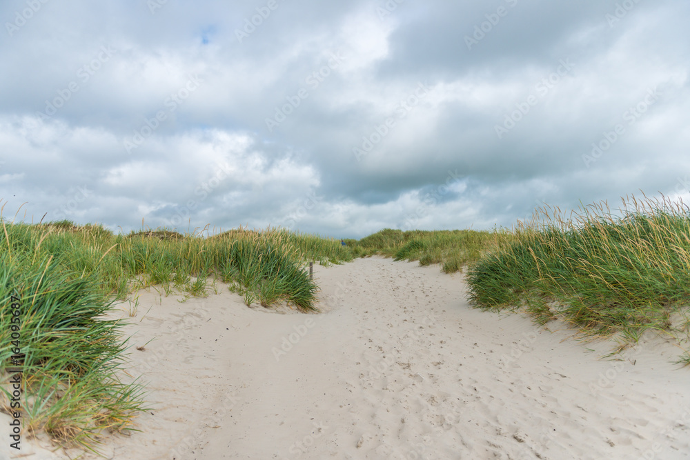 beachlife #1