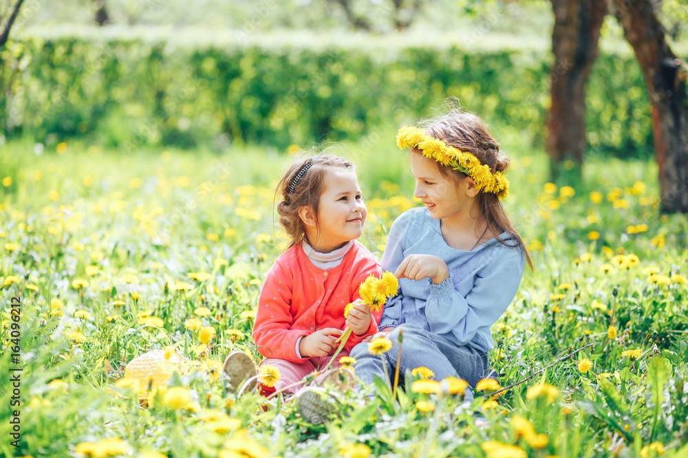 Two cute sisters playing on a green meadow with dandelions. The concept of happy children Two cute sisters playing on a green meadow with dandelions. The concept of happy children