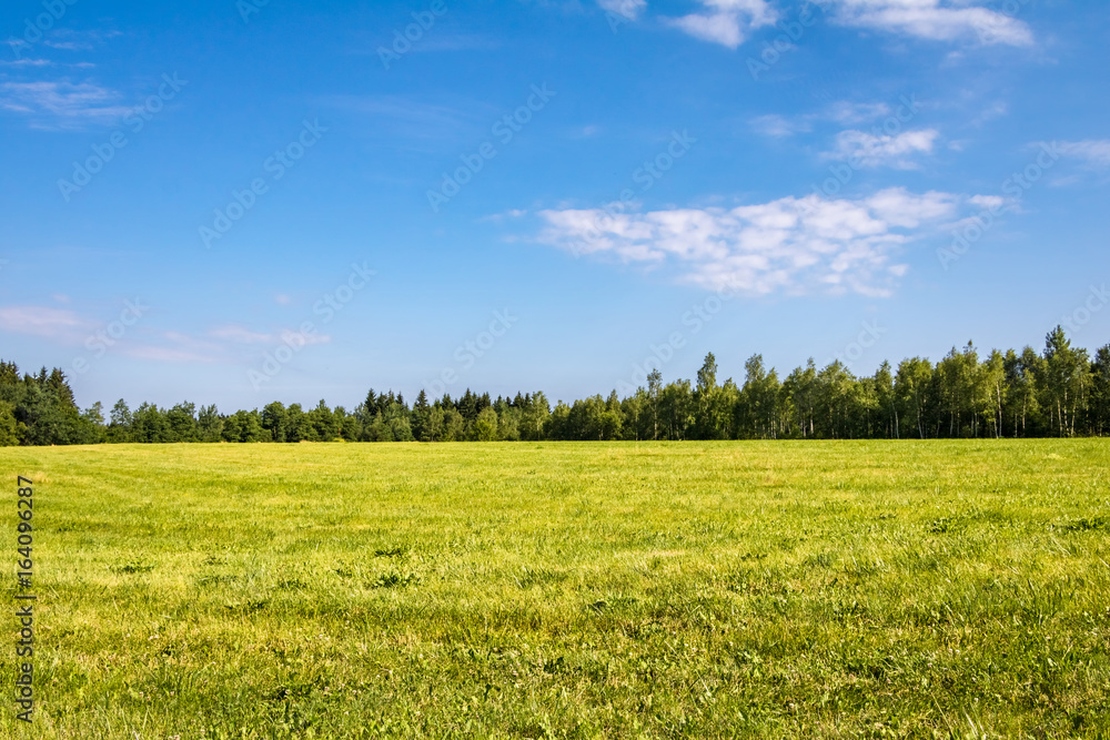 Summer landscape with green meadow, forest and blue sky