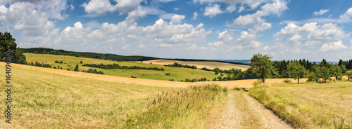 Panorama of summer countryside with road  trees and pastures