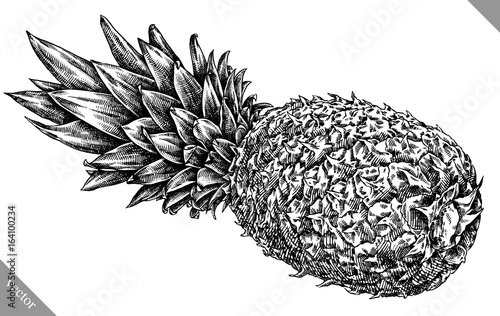 Engrave isolated pineapple hand drawn graphic illustration