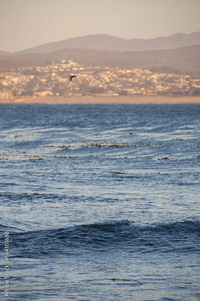 Pacific ocean at dusk, Monterrey, California