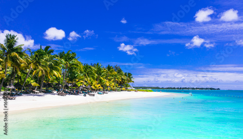 Fototapeta Naklejka Na Ścianę i Meble -  Gorgeous tropical white sandy beach with turquoise sea. Mauritius island