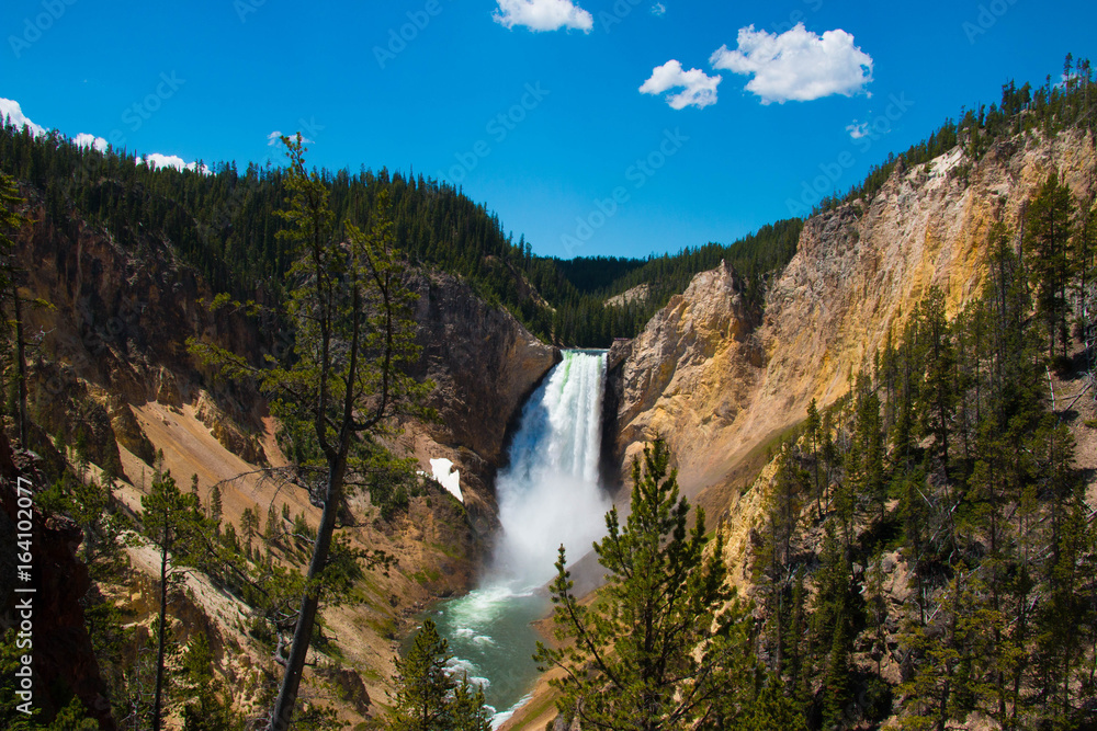 Obraz premium Yellowstone Falls in Yellowstone National Park, Wyoming