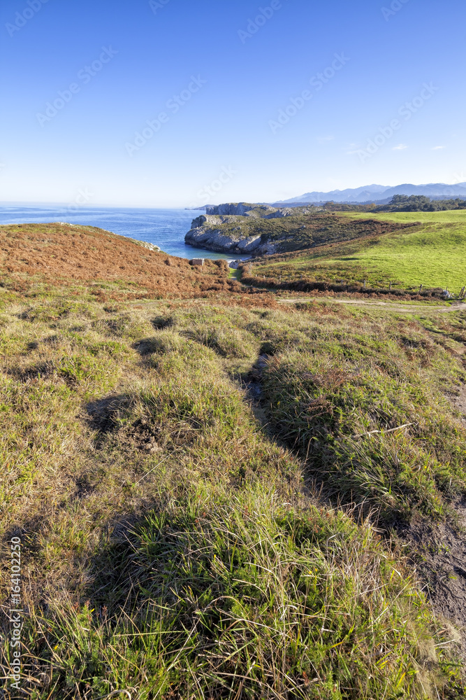 Naklejka premium Costa.