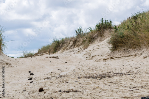 foreground focus sand dune