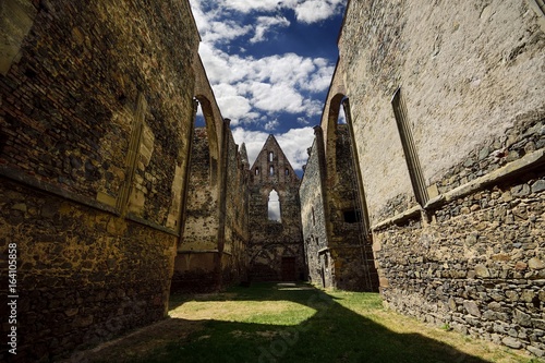 Gothic ruin, monastery Rosa coeli, Dolni Kounice, Czech Republic photo