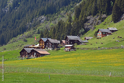 Golzern, Uri photo