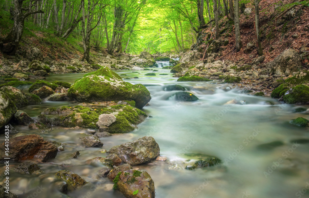 Mountain river in forest and mountain terrain. Crimea, the Grand Canyon. Nature composition. Mountain river in forest and mountain terrain. Crimea, the Grand Canyon. Nature composition.
