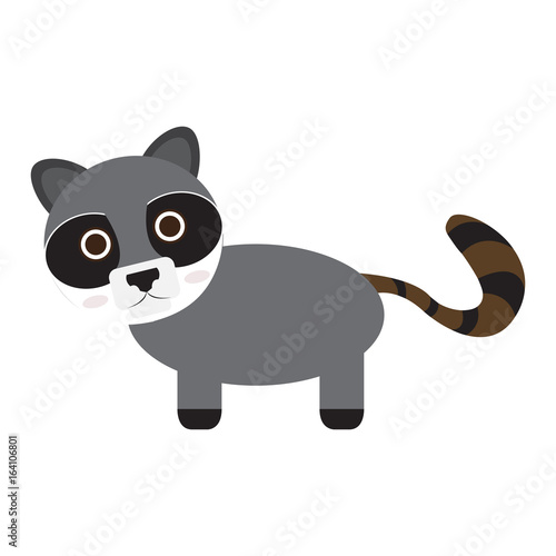 Isolated cute raccoon on a white background  Vector illustration