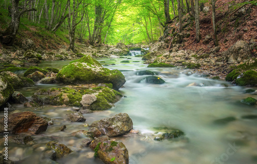 Mountain river in forest and mountain terrain. Crimea  the Grand Canyon. Nature composition.