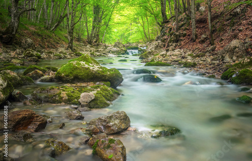 Mountain river in forest and mountain terrain. Crimea, the Grand Canyon. Nature composition.