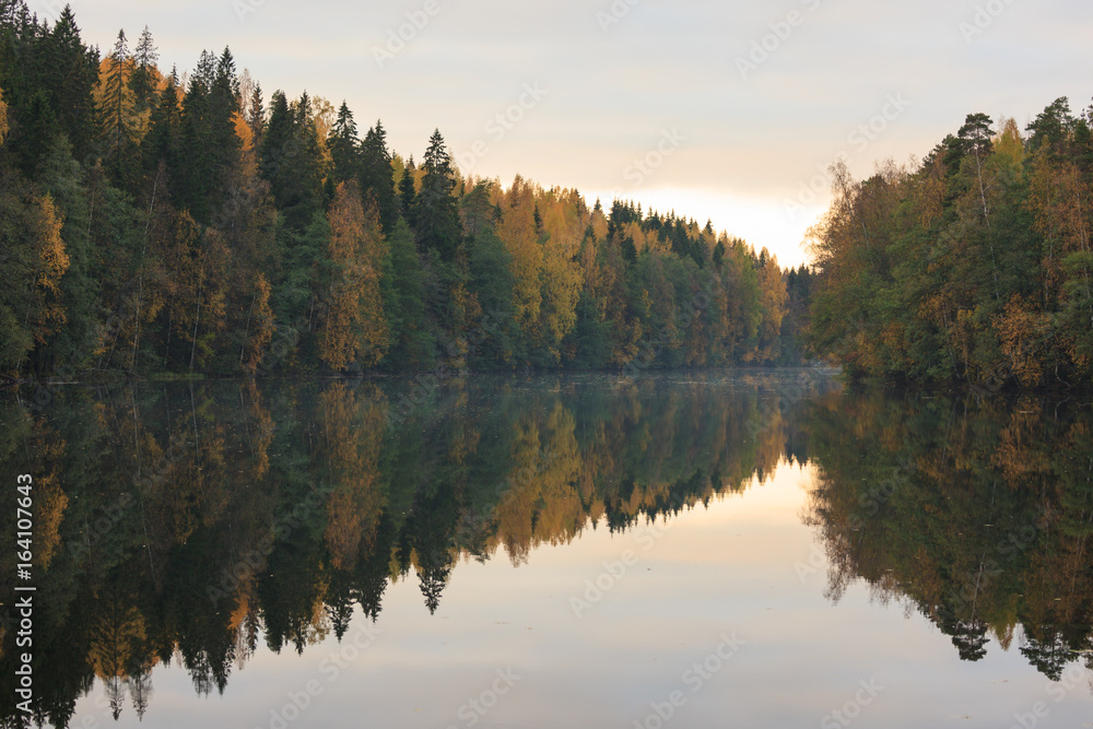Calm autumn forest lake reflection