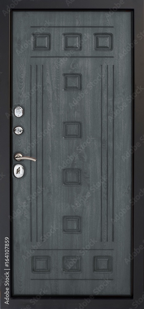 Obraz premium Entrance door (metal door)