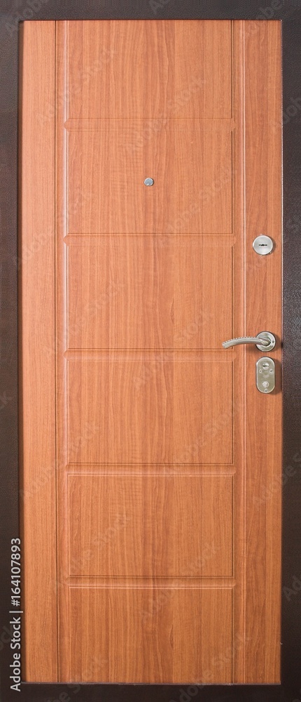 Entrance door (metal door) Entrance door (metal door)