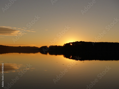 Lake Acworth Cresting Sunrise Through Trees  Acworth  Georga