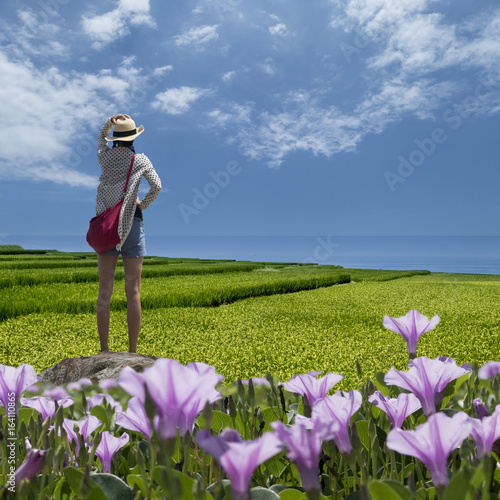 beacutiful sunny day with sea, flower of paddy photo