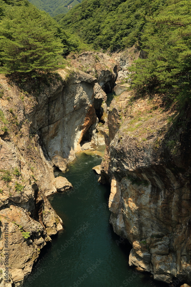 Fototapeta premium 初夏の龍王峡 ( 日光市 / 栃木県 )