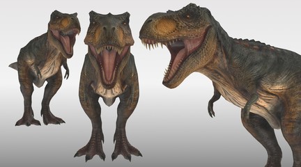 Poster Dinosaurus T-rex 3D-weergave op witte achtergrond  © RiskySukandar