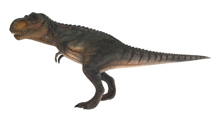 Poster Dinosaurus T-rex zijaanzicht 3D-illustratie  © RiskySukandar