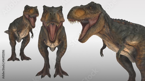 tyrannosaurus rex 3 perspective view 3d rendering