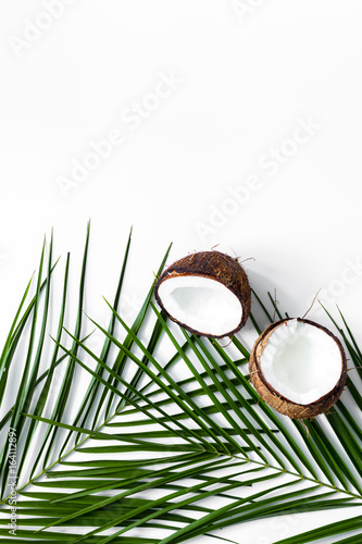 Appetizing cocount and palm branch on white background top view copyspace