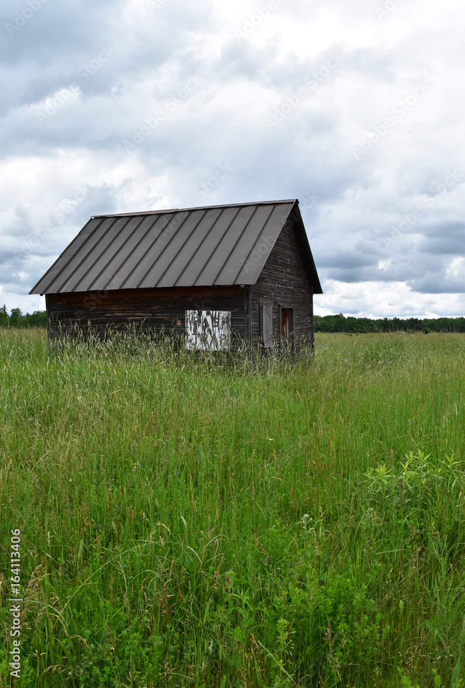Abandoned cabin in a grassy field