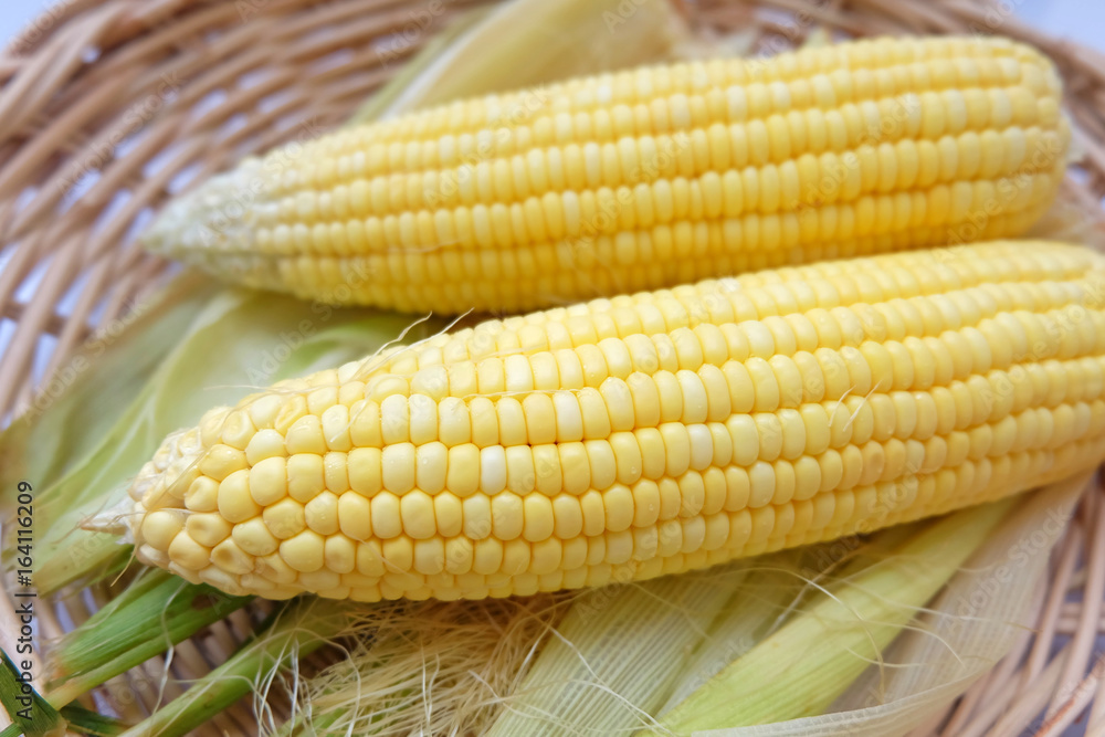 Closeup fresh sweet corn pods and corn kernels on wooden basket. Closeup fresh sweet corn pods and corn kernels on wooden basket.