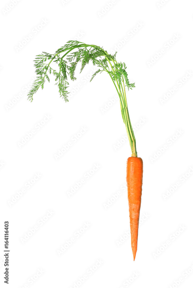 Fresh carrot with leaves isolated on white Fresh carrot with leaves isolated on white