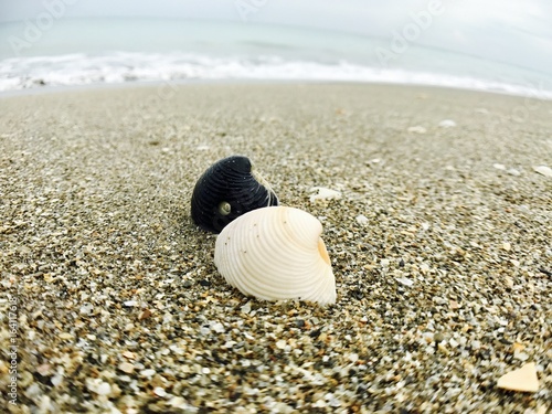 Beach time) Fort Pierce, FL