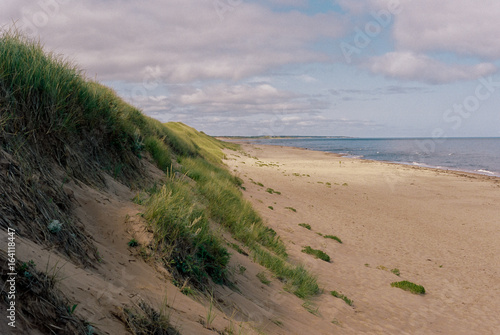 Ocean Dunes