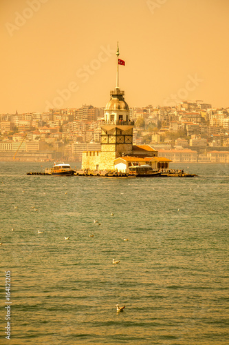 Photography Seagulls and maidens Tower in Istanbul