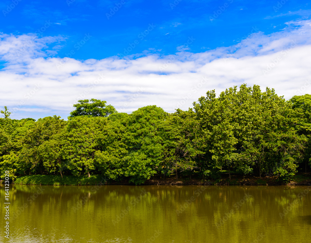 The abundance of trees, blue skies and ponds at Sri Nakhon Khuean Khan Park and Botanical Garden