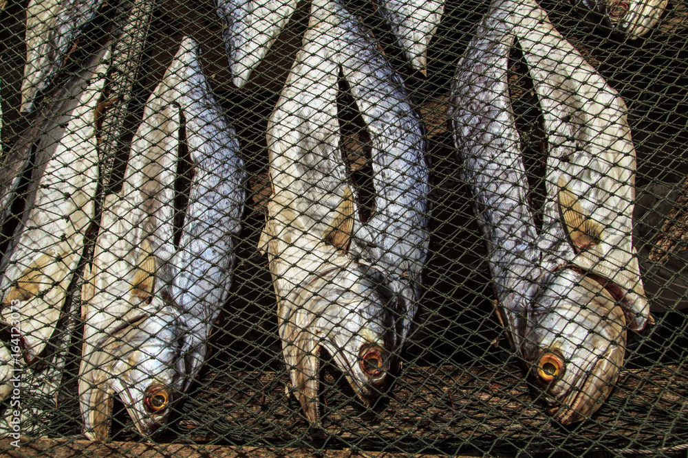 Sun dried fish