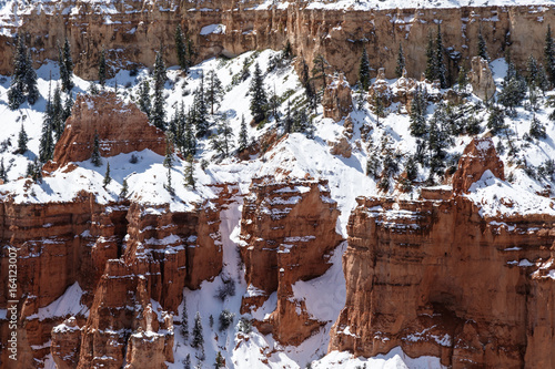 Trees and snow cling to the face of the sheer canyon wall in Bryce Canyon National Park, Utah. 