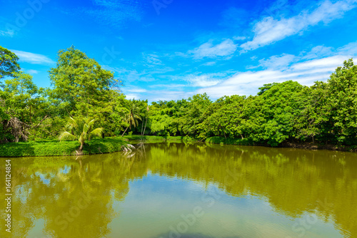 The abundance of plant and trees  blue skies and ponds at Sri Nakhon Khuean Khan Park and Botanical Garden