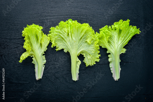 Lettuce. Raw Vegetables Top view. Free space for your text.